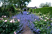 WOLLERTON OLD HALL GARDEN, JUNE