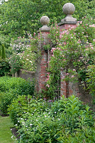 WOLLERTON_OLD_HALL_GARDEN_JUNE