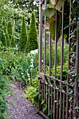 WOLLERTON OLD HALL GARDEN, JUNE