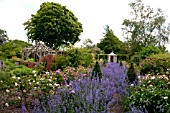 WOLLERTON OLD HALL GARDEN, JUNE