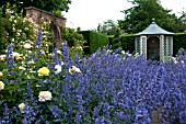 WOLLERTON OLD HALL GARDEN, JUNE