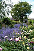 WOLLERTON OLD HALL GARDEN, JUNE