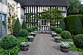 WOLLERTON OLD HALL GARDEN, JUNE