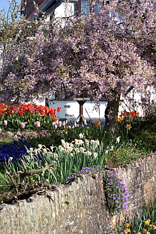 BLOSSOM_TRAIL_FRONT_GARDENS_WORCESTERSHIRE