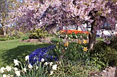 BLOSSOM TRAIL FRONT GARDENS, WORCESTERSHIRE