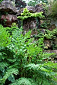 PULHAM ROCKERY AT MADRESFIELD, NEAR MALVERN