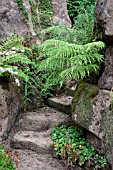 PULHAM ROCKERY AT MADRESFIELD, NEAR MALVERN