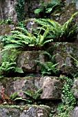 PULHAM ROCKERY AT MADRESFIELD, NEAR MALVERN