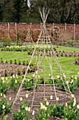 WIGWAM STRUCTURES IN THE CUT FLOWER GARDEN AT THE WALLED GARDEN AT SCAMPSTON
