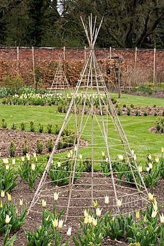 WIGWAM_STRUCTURES_IN_THE_CUT_FLOWER_GARDEN_AT_THE_WALLED_GARDEN_AT_SCAMPSTON