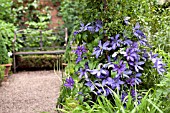 WOLLERTON OLD HALL GARDEN