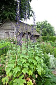 WOLLERTON OLD HALL GARDEN