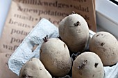 VEGETABLE GROWING IN SMALL SPACES IN SUBURBAN GARDEN - POTATOES