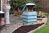 VEGETABLE GROWING IN SMALL SPACES IN SUBURBAN GARDEN -