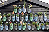 TULIPS, HYACINTHS AND VIOLETS IN CLOGS AT KEUKENHOF GARDENS