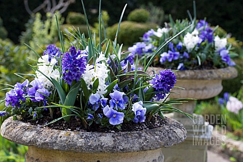 CLASSICAL_URNS_PLANTED_WITH_SPRING_FLOWERS