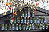 TULIPS, HYACINTHS AND VIOLETS IN CLOGS AT KEUKENHOF GARDENS