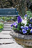 CLASSICAL URN PLANTED WITH SPRING FLOWERS