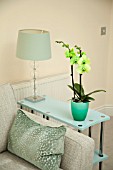 DYED PHALAENOPSIS IN MODERN HOME