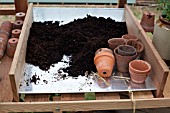 POTTING BENCH IN GREENHOUSE