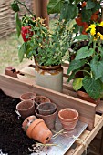 POTTING BENCH IN GREENHOUSE