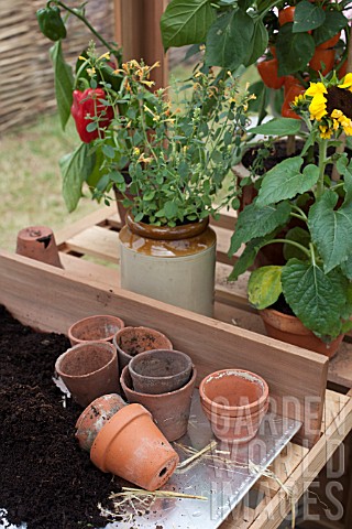 POTTING_BENCH_IN_GREENHOUSE