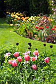 PINK BORDER,  ASHOVER,  STREETLY,  NGS,  MAY