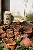 TERRACOTTA POTS IN THE SECRET GARDEN,  THE MANOR,  HEMINGFORD GREY,  APRIL