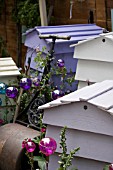 COLOURFUL BEEHIVE COMPOST MAKERS