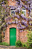 WISTERIA AND CLEMATIS COVERED FOLLY TOWER AT STONE HOUSE COTTAGE GARDEN