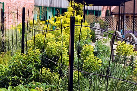 VIEW_OF_METAL_RAILINGS_LEADING_TO_VEGETABLE_AREA_AT_RYTON_ORGANIC_GARDEN__COVENTRY__MAY