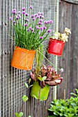 EDIBLE PLANTS IN COLOURFUL TINS ON THE WALL OF THE CHILDRENS GARDEN AT RYTON ORGANIC GARDEN,  COVENTRY