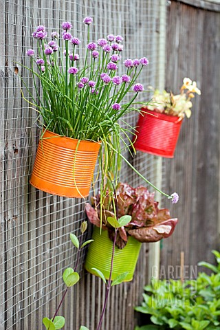 EDIBLE_PLANTS_IN_COLOURFUL_TINS_ON_THE_WALL_OF_THE_CHILDRENS_GARDEN_AT_RYTON_ORGANIC_GARDEN__COVENTR