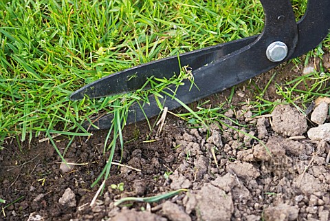 LAWN_EDGING_WITH_LONG_SHEARS
