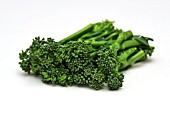 TENDER STEMMED BROCCOLI