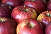 BRAEBURN APPLES