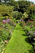 HERBACEOUS BORDER AT STONEHOUSE COTTAGE GARDEN