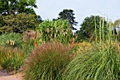 GRASS BORDER AT RHS GARDEN WISLEY