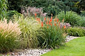 KNIPHOFIA MOUNT ETNA IN GRASS BORDER RHS WISLEY