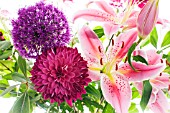 LILIUMS, ALLIUM AND CHRYSANTHEMUM ON A WHITE BACKGROUND