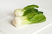 PAK CHOI CHINESE CABBAGE