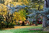 BATSFORD ARBORETUM AUTUMN