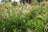 SANGUISORBA IVORY TOWERS