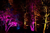 RHS WISLEY GARDEN TREES LIT UP IN THE LIGHT TRAIL EVENT