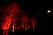 RHS WISLEY GARDEN TREES LIT UP IN THE LIGHT TRAIL EVENT