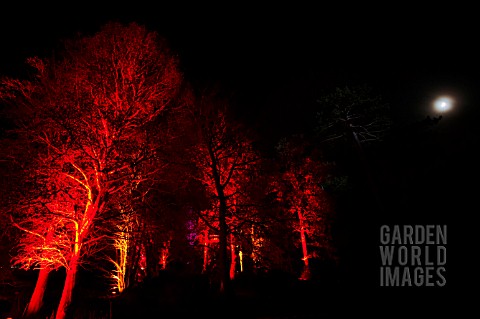 RHS_WISLEY_GARDEN_TREES_LIT_UP_IN_THE_LIGHT_TRAIL_EVENT