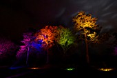 RHS WISLEY GARDEN TREES LIT UP IN THE LIGHT TRAIL EVENT