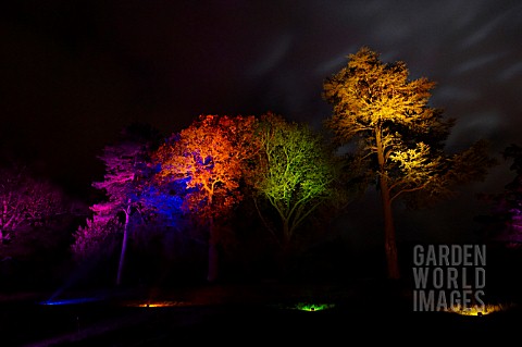 RHS_WISLEY_GARDEN_TREES_LIT_UP_IN_THE_LIGHT_TRAIL_EVENT
