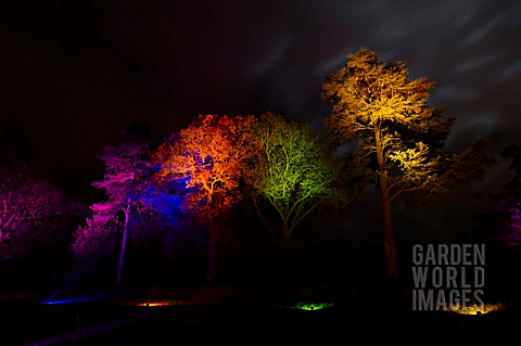 RHS_WISLEY_GARDEN_TREES_LIT_UP_IN_THE_LIGHT_TRAIL_EVENT