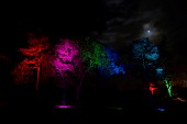 RHS WISLEY GARDEN TREES LIT UP IN THE LIGHT TRAIL EVENT